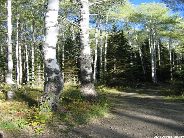 5289 N Pinecone Rd #172, Midway, UT 84049 — photo 3