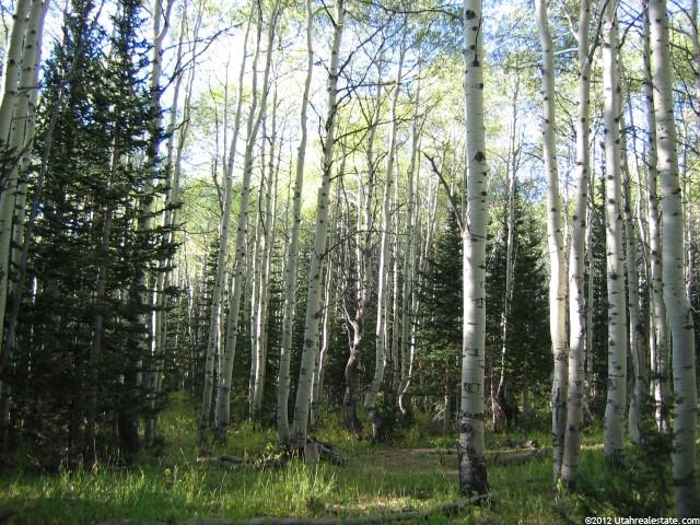 5289 N Pinecone Rd #172, Midway, UT 84049 — photo 5