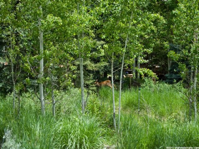 3150 Solamere Dr #76, Park City, UT 84060 — photo 8