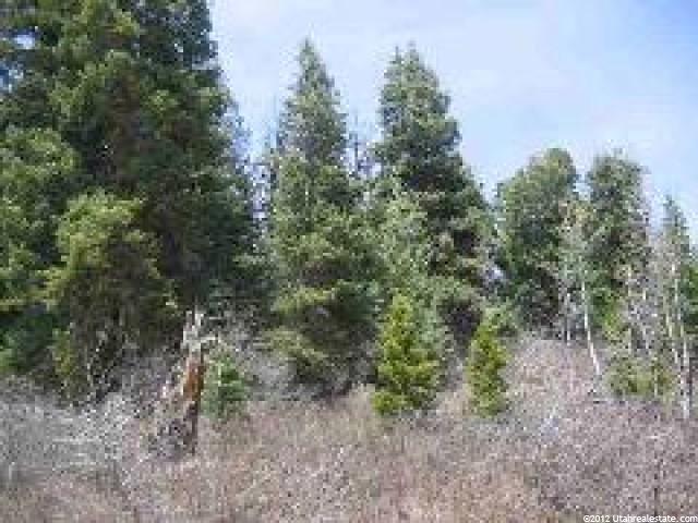 2393 Navajo Rd #C47, Wanship, UT 84017 — photo 3
