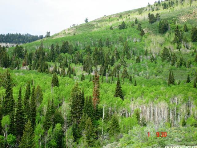 268 Juniper Dr, Fish Haven, ID 83287 — photo 5