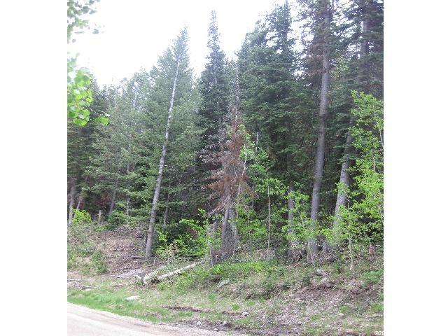 11206 Tanglewood #648, Heber City, UT 84032 — photo 2