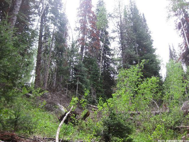 11206 Tanglewood #648, Heber City, UT 84032 — photo 3