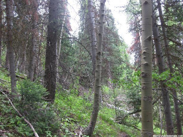 11206 Tanglewood #648, Heber City, UT 84032 — photo 4