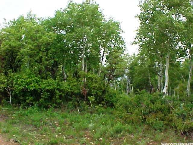 121 S Skyline #121, Echo, UT 84024 — photo 3