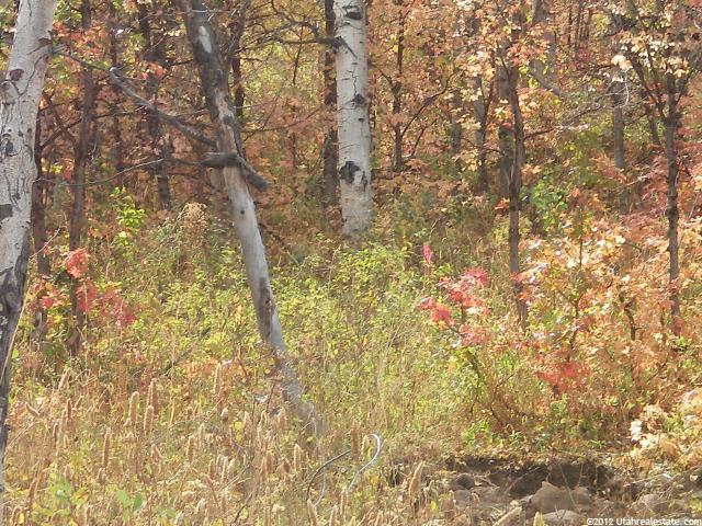 5 Scare Canyon #5, Paradise, UT 84328 — photo 5