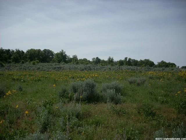 11832 N 2000 E #1, Cove, UT 84333 — photo 3