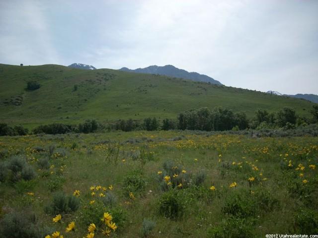11832 N 2000 E #1, Cove, UT 84333 — photo 4