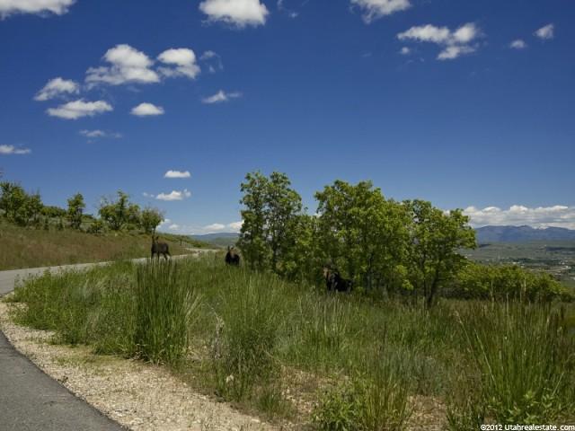 9101 Red Hawk Trl #32, Park City, UT 84098 — photo 9