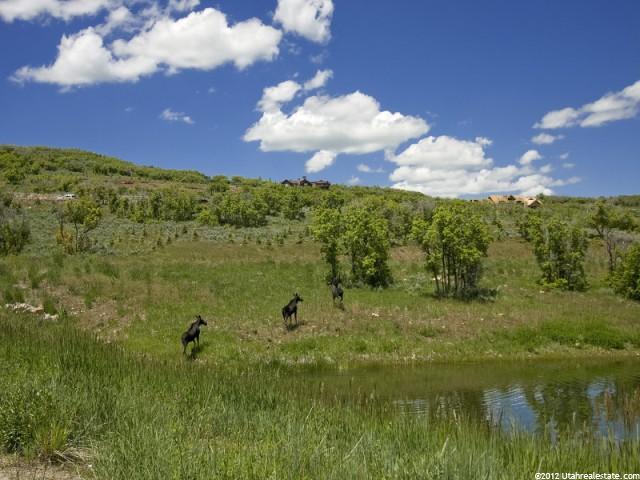 9101 Red Hawk Trl #32, Park City, UT 84098 — photo 10