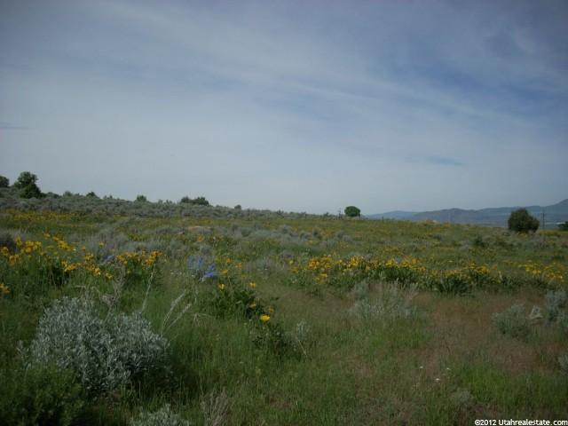 11914 N 2000 E #2, Cove, UT 84333 — photo 2