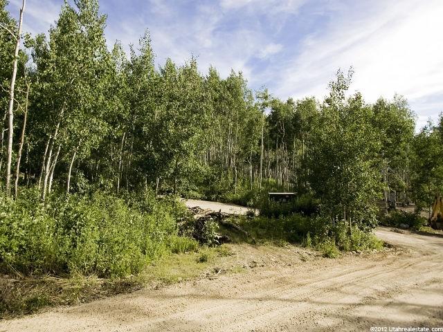 1606 S Columbine, Timber Lakes, UT 84032 — photo 2