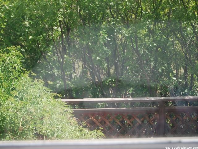 1009 Mt Tabby Dr, Tabiona, UT 84072 — photo 12