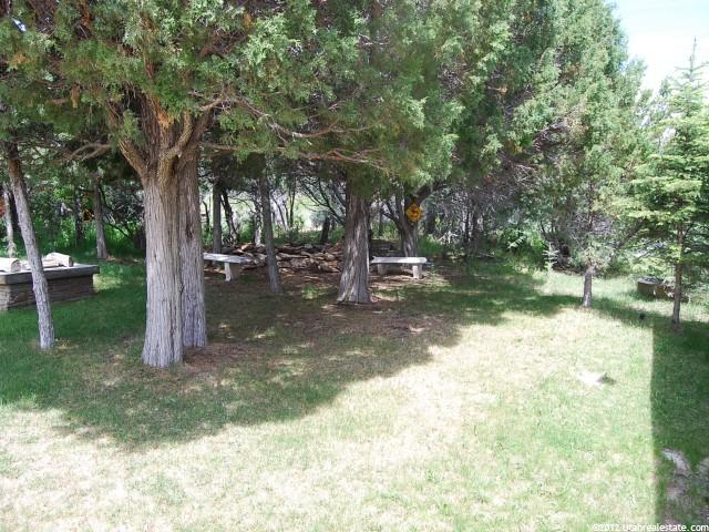 1009 Mt Tabby Dr, Tabiona, UT 84072 — photo 9