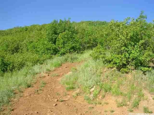 1367 W Switzer Rd #79, Midway, UT 84049 — photo 11
