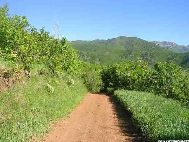 1367 W Switzer Rd #79, Midway, UT 84049 — photo 12