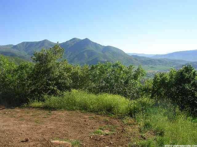 1367 W Switzer Rd #79, Midway, UT 84049 — photo 5