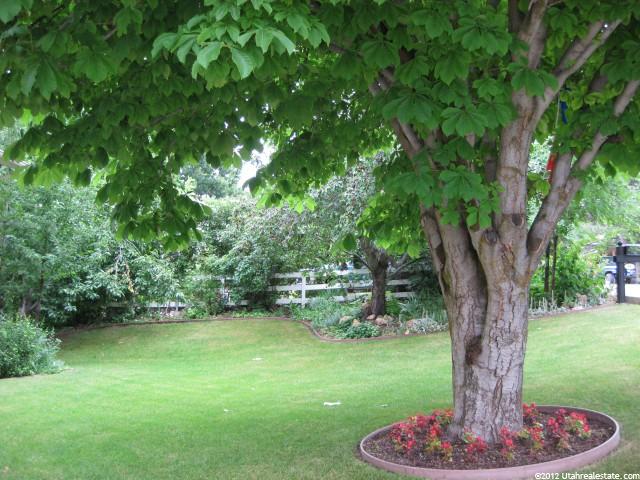 40 E Hazel Dr S, Salem, UT 84653 — photo 5