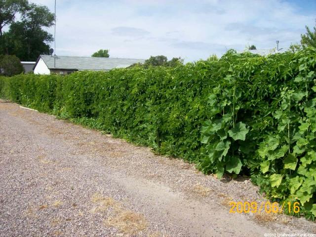 182 E 100 S, Gunnison, UT 84634 — photo 3