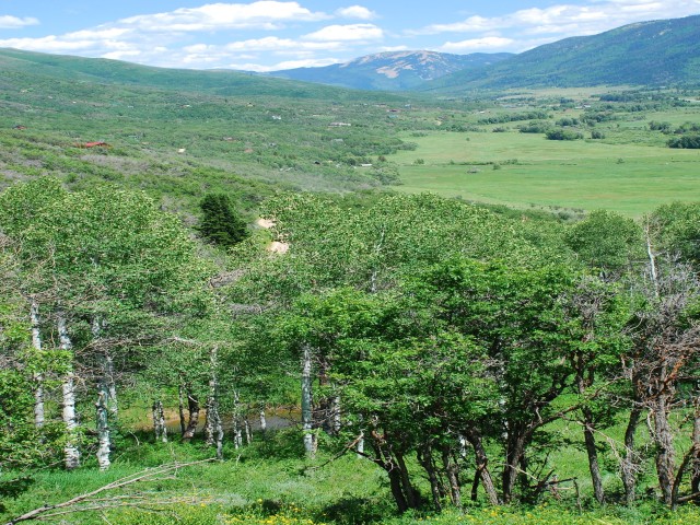 113 Canyon Rim #113, Oakley, UT 84055 — photo 10