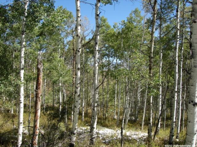 113 Canyon Rim #113, Oakley, UT 84055 — photo 6