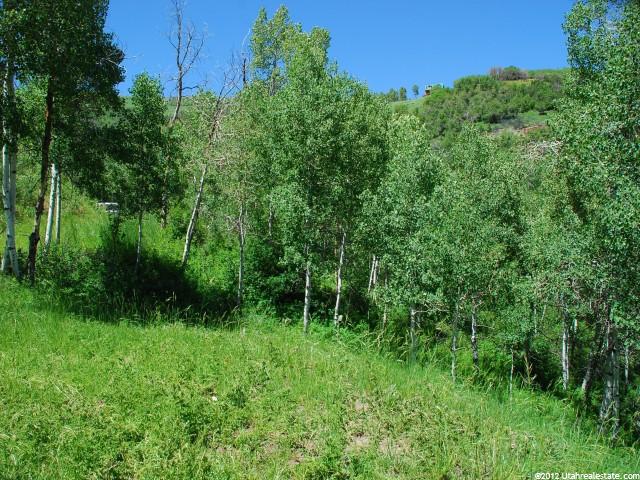 113 Canyon Rim #113, Oakley, UT 84055 — photo 8