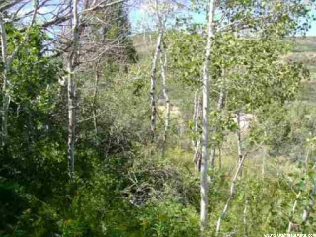 118 Red Fox Ln #118, Woodland, UT 84036 — photo 6