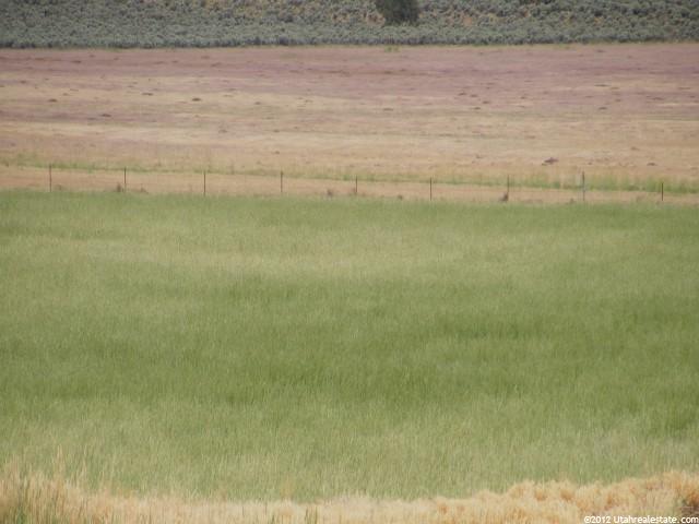 1696 Mcbride Ln, Fillmore, UT 84631 — photo 4