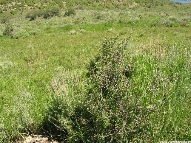 11 Brian Cir #11, Wanship, UT 84017 — photo 2