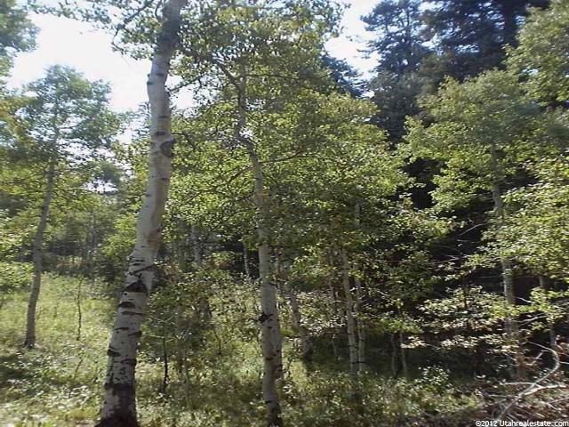 91 Whipsering #91, Fairview, UT 84629 — photo 2