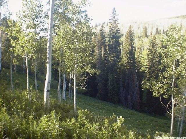 91 Whipsering #91, Fairview, UT 84629 — photo 3