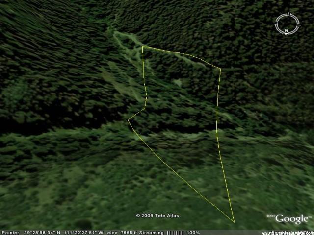 91 Whipsering #91, Fairview, UT 84629 — photo 6