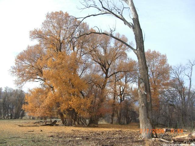 9096 E 1300 S, Huntsville, UT 84317 — photo 2