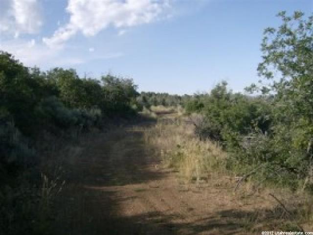 7 Big Holw #7, Fairview, UT 84629 — photo 7