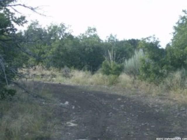 7 Big Holw #7, Fairview, UT 84629 — photo 9