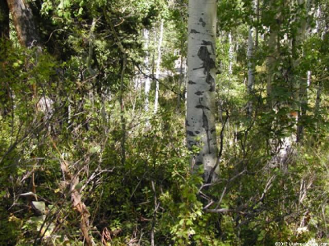 60 Aspen Dr, Timber Lakes, UT 84032 — photo 2