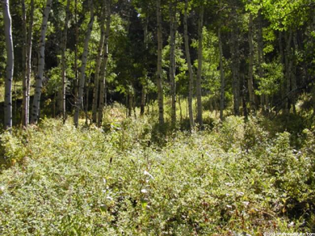 60 Aspen Dr, Timber Lakes, UT 84032 — photo 7