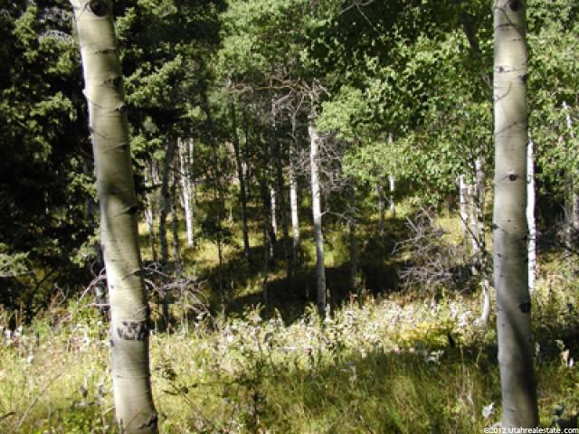 60 Aspen Dr, Timber Lakes, UT 84032 — photo 8