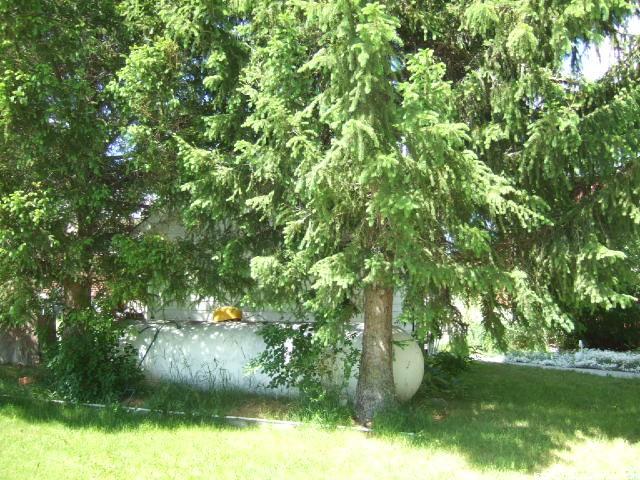 201 Bannock St, Malad City, ID 83252 — photo 12