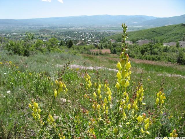51 Lucerne Dr #51, Midway, UT 84049 — photo 3