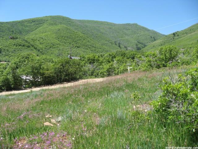 51 Lucerne Dr #51, Midway, UT 84049 — photo 4