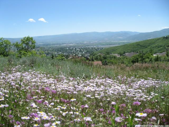 51 Lucerne Dr #51, Midway, UT 84049 — photo 5