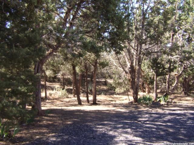 175 N Lodge Rd, Central, UT 84722 — photo 12