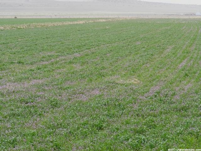 2800 N Hwy 100, Flowell, UT 84631 — photo 6