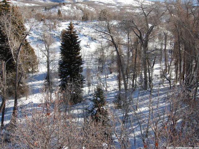 1141 Ridge Pine Rd, Heber City, UT 84032 — photo 8