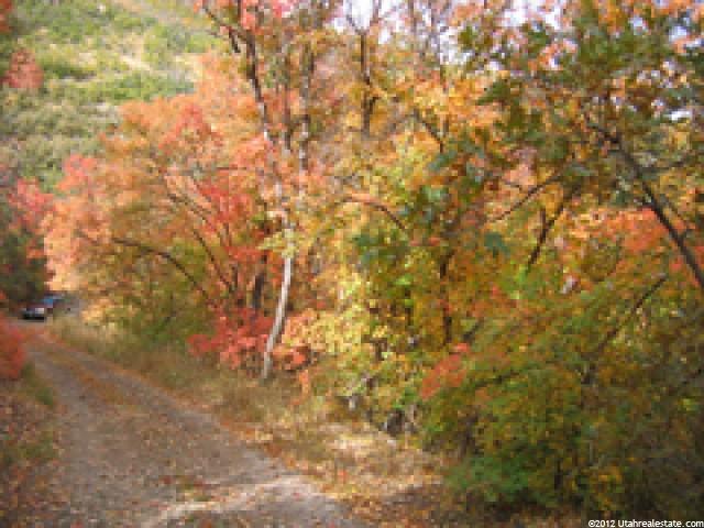 75 Oak Haven #75, Midway, UT 84049 — photo 4