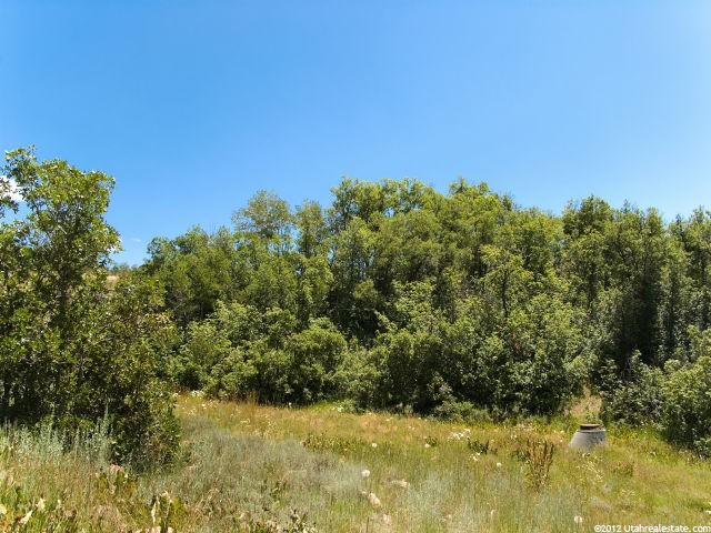 6779 N 2275 E #65, Liberty, UT 84310 — photo 6