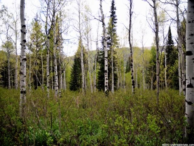 350 Targhe Dr #350, Oakley, UT 84055 — photo 2