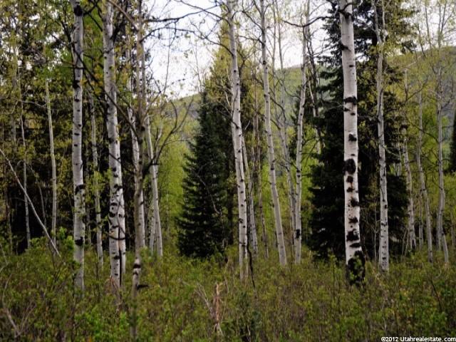 350 Targhe Dr #350, Oakley, UT 84055 — photo 3