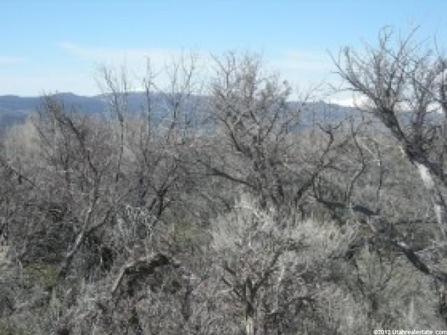 11500 E 200 S #9, Mt Pleasant, UT 84647 — photo 4